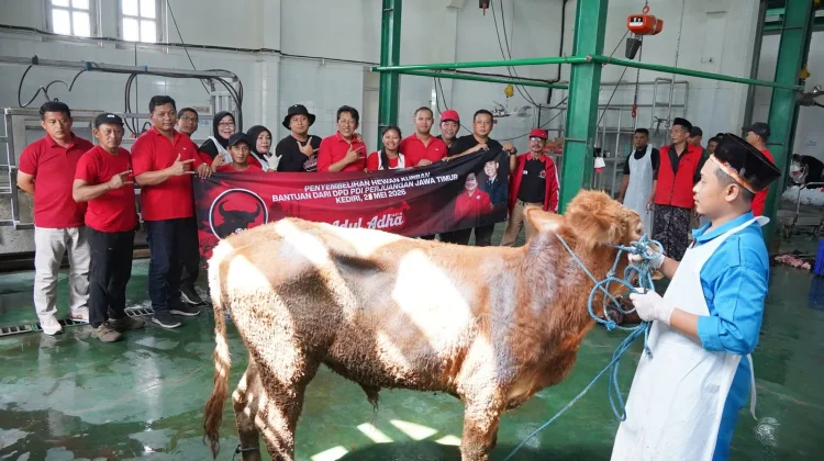 RPH Pelem Pare Terima Hewan Kurban untuk Warga Desil 5 ke bawah