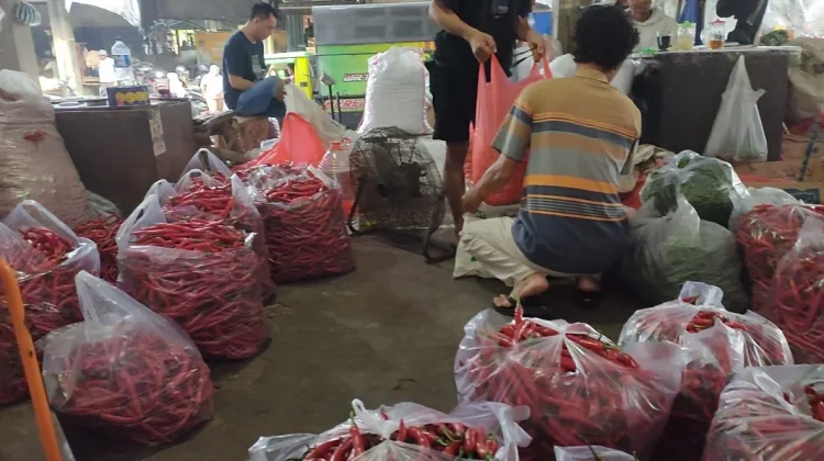 Sentra Cabai Jatim Mulai Panen Harga Cabai di Kediri Turun