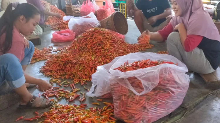 Harga Cabai Stabil, Pengiriman Jabodetabek dan Kalimantan Masih Libur