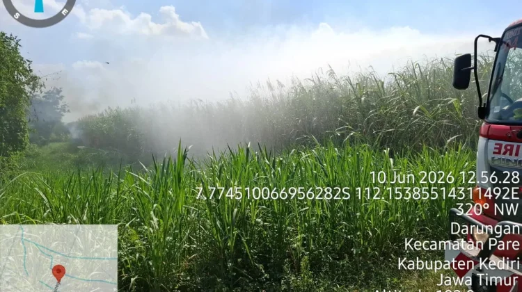Kebakaran Lahan Tebu di Pare Kediri, Kerugian Capai Rp36 Juta