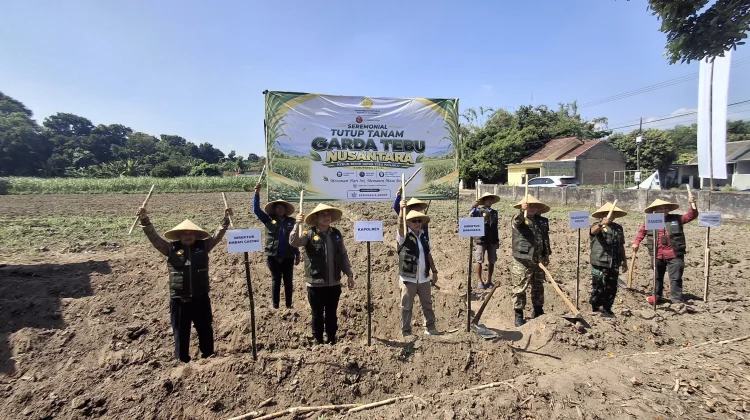 Kementan Perkuat Swasembada Gula Nasional dengan Penyediaan Benih Unggul