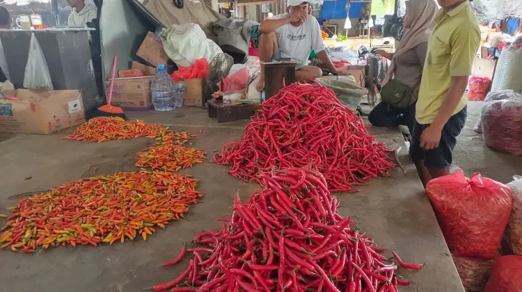 Harga Aneka Cabai di Kediri Mengalami Penurunan jelang 1 Suro