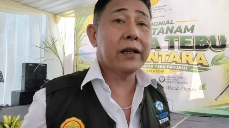 Sokong Swasembada Gula, Kediri Kembangkan Tebu Panjalu