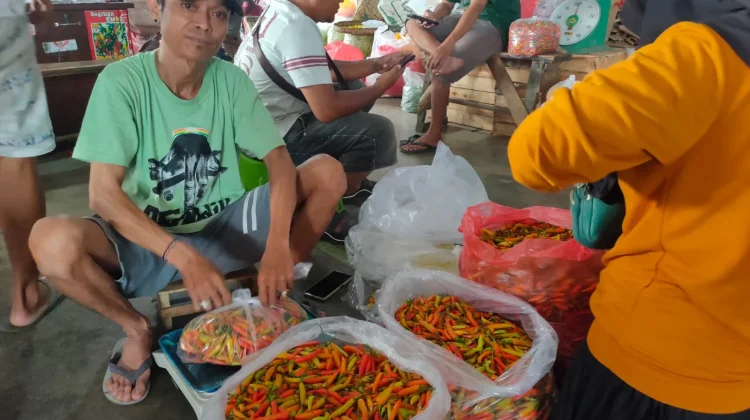 Harga Cabai Rawit di Kediri Turun, Cabai Keriting Naik