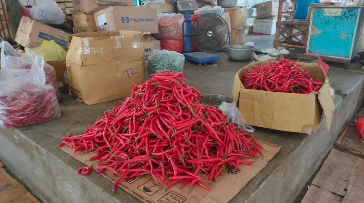 Harga Cabai di Kediri Stabil, Pengiriman ke Kalimantan Capai 3 Ton