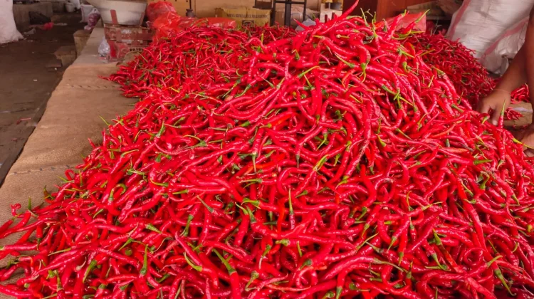 Kondisi Pasar Sepi, Harga Aneka Cabai di Kediri Turun