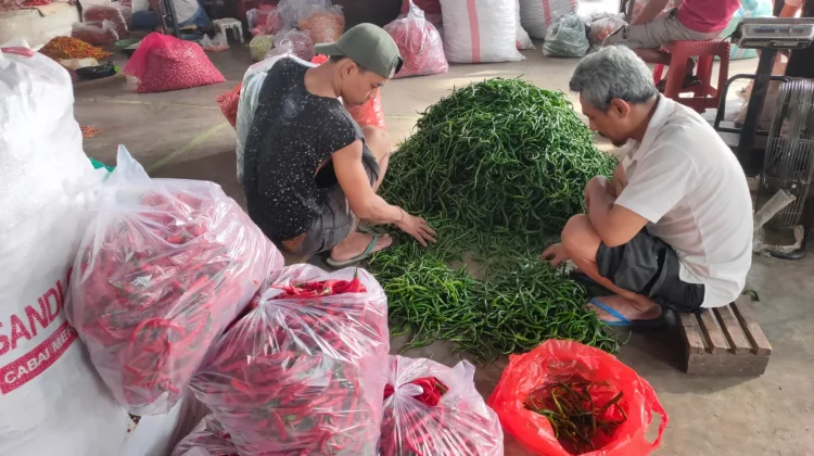 Harga Cabai di Kediri Stabil, Pasokan Bertambah dari Blitar dan Jember
