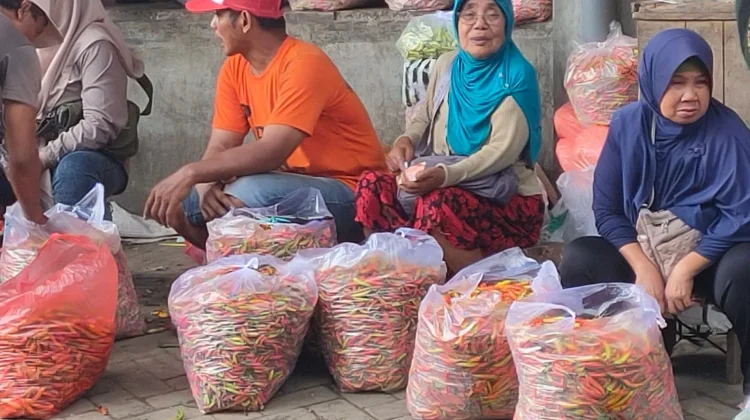 Komoditas Cabai di Kediri Harga Stabil, Tertinggi Rp32.000