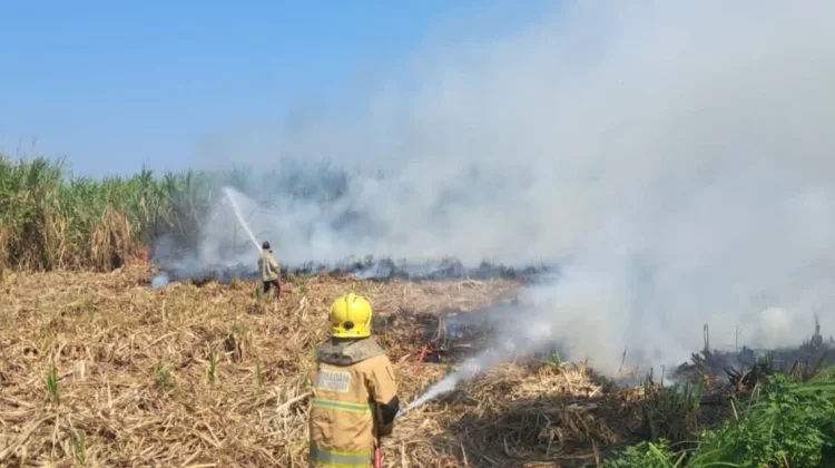 Lahan Tebu Siap Panen Terbakar Hebat