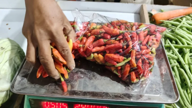 Harga Cabai di Pasar Induk Pare Kediri Fluktuatif