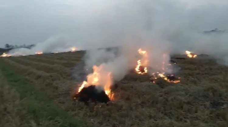 Kemarau Lebih Panjang, Sejumlah Wilayah di Kediri Rawan Krisis Air Bersih