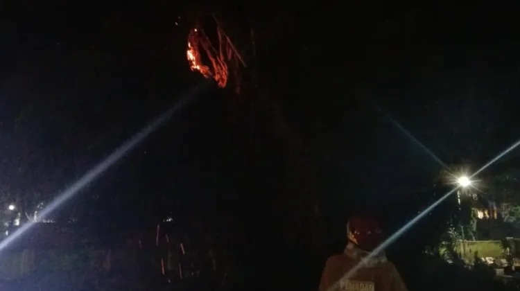 Diduga Ulah ODGJ, Pohon Beringin di Area Makam Ngasem Kediri Terbakar