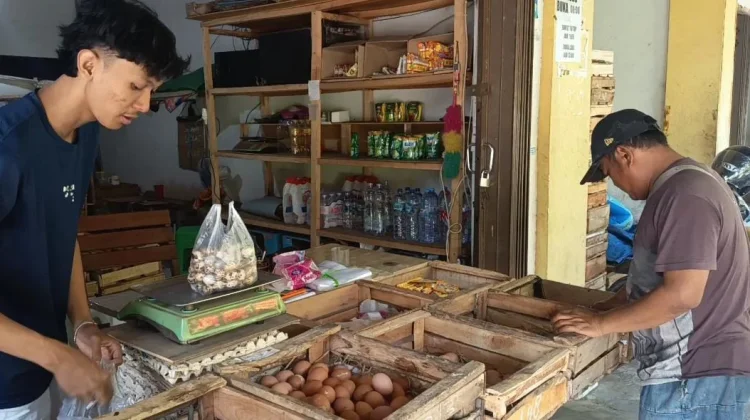 Sempat Anjlok, Harga Telur Ayam di Kediri Mulai Merangkak Stabil
