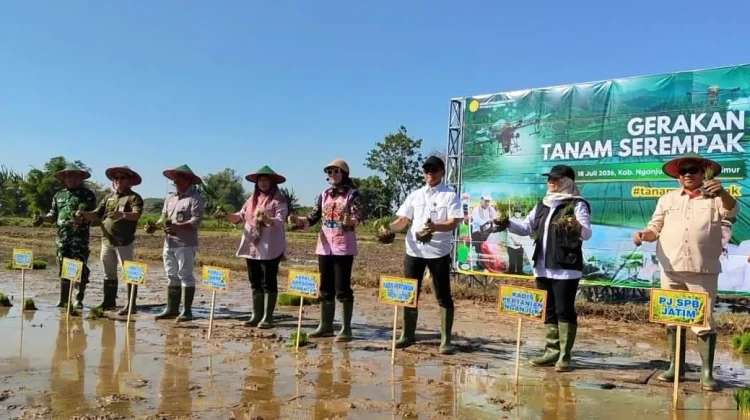 Kementan Gelar Gerakan Tanam Serempak di 26 Provinsi