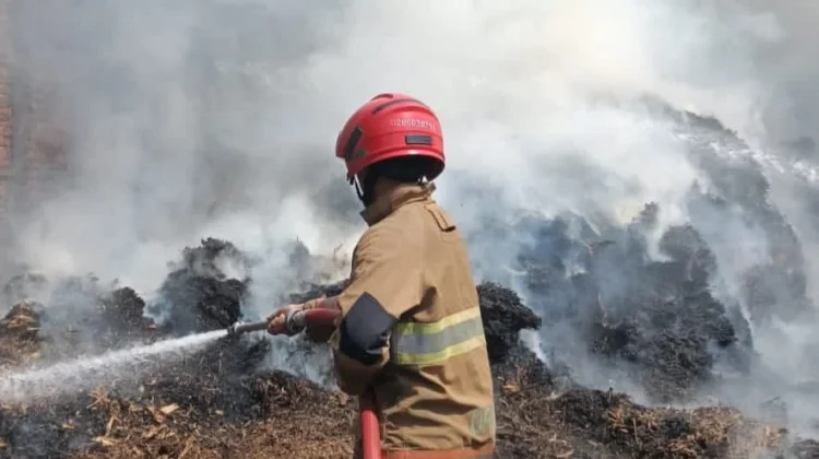 Waspada, Bakar Sampah Sembarangan Picu Kebakaran Sepah Tebu