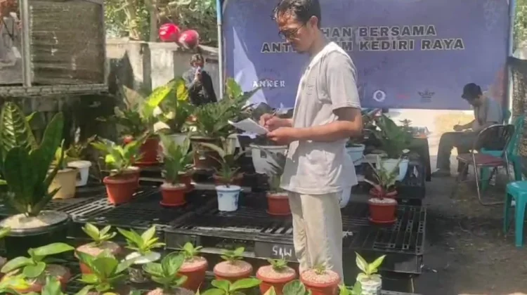Merawat Anthurium, Merawat Silaturahmi