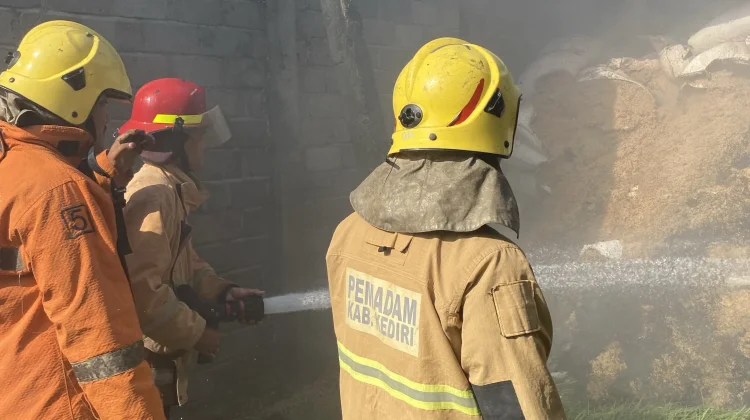 Lalai Bakar Sampah, Kobaran Api Hanguskan Kandang Ayam