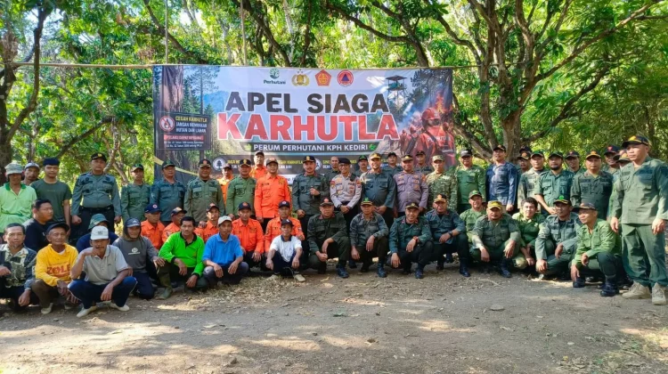 Waspada, BPBD Catat 11 Kebakaran Sehari, dan Petakan Daerah Rawan Kekeringan