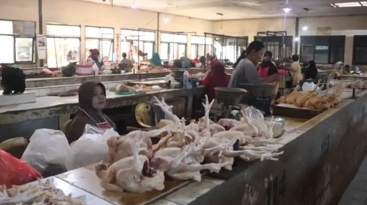 Harga Daging Ayam di Kediri Meningkat Jadi Rp34.000/Kg