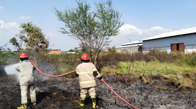 Musim Kemarau Picu Lonjakan Kebakaran Lahan di Jombang