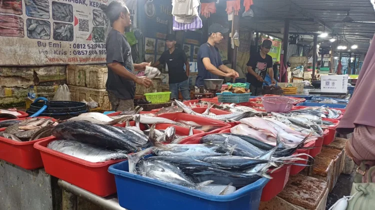 Penjualan Ikan Segar Laris Manis Seiring Tingginya Kesadaran Gizi Warga