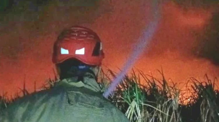 Empat Hektar Lahan Tebu HGU Sumber Lembu Kediri Terbakar