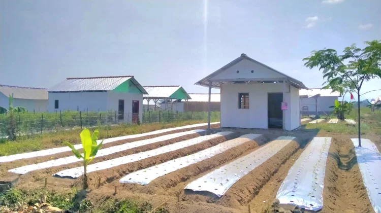 Rumah Bedeng di Lahan Eks HGU Puncu Kediri Jadi Sorotan Warga