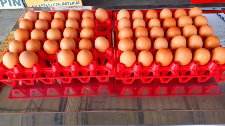 Telur Oranye Kaya Gizi Jadi Buruan Baru Warga Kediri