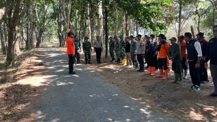 Pemkab Kediri Terjunkan Personil Pantau Dampak Kebakaran Kawasan Gunung Wilis