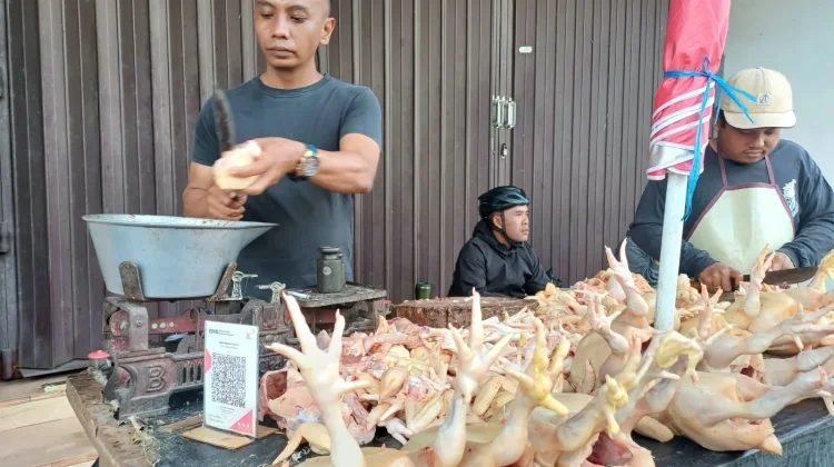 Harga Daging Ayam di Pasar Setonobetek Kembali Naik
