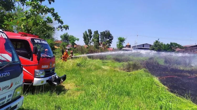 Jombang Hadapi Ancaman Karhutla di Puncak Kemarau