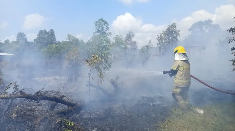 Masyarakat Sering Abai pada Resiliensi Bencana