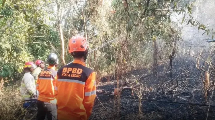 Dampak El Nino, Kemarau Diprediksi Makin Panjang
