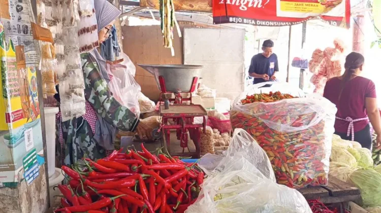Musim Kemarau Panjang Jadi Faktor Fluktuasi Harga Bapok di Pasaran