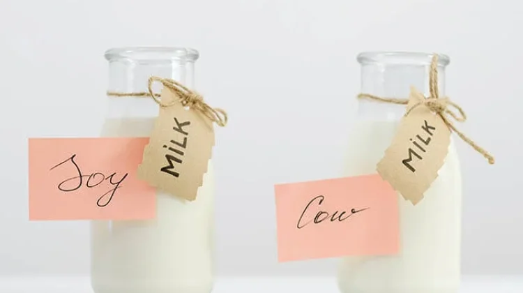 Ini Dia Beda Nutrisi Susu Soya dengan Susu Sapi
