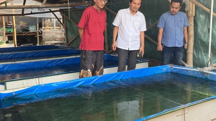 Tekan Kematian Benih, UB Kediri Uji Vaksin Feed-Based Lele Skala Kolam