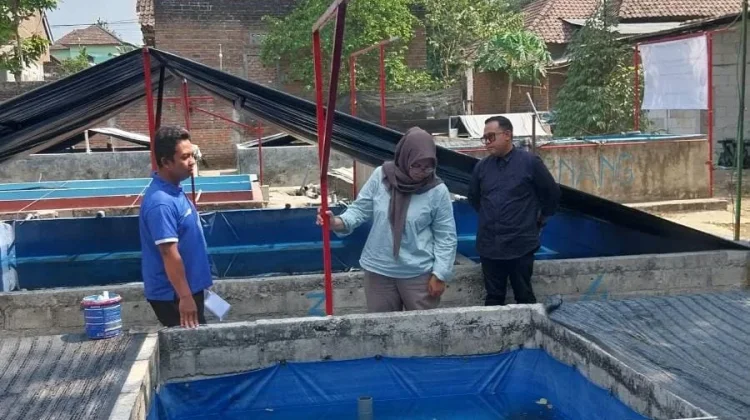 UB Kediri Stop Kematian Massal Benih Lele
