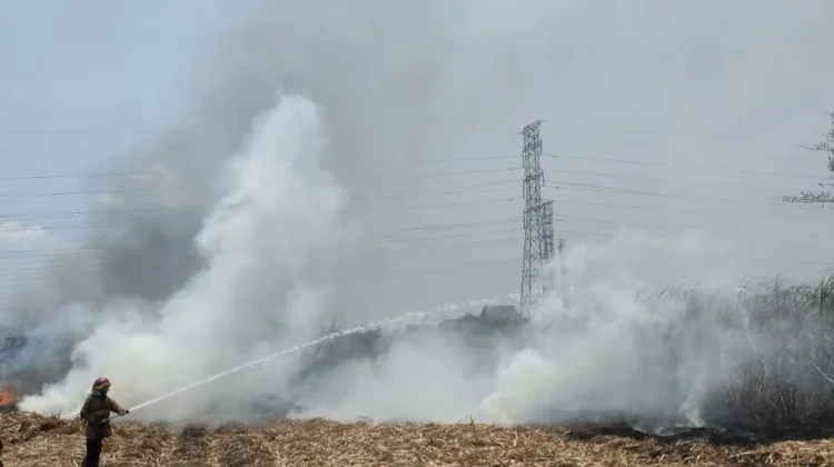 Dua Hektar Lahan Tebu di Ngasem Kediri Terbakar, Kerugian Capai Rp 50 Juta