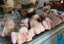 Tradisi Megengan Dorong Kenaikan Harga Ayam di Jombang