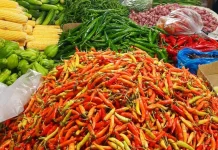 Permintaan Tinggi, Harga Cabai Tembus Rp90.000