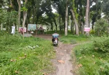 Pembangunan Jalan Sekitar Hutan Harus Izin Kemenhut