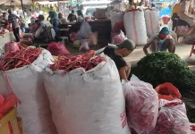 Harga Cabai di Kediri Turun Pengaruh Pasokan dari Banyuwangi