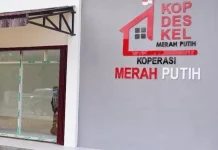 Ratusan KDMP Jombang Siap Gerakkan Perekonomian Desa
