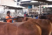Disnak Jombang Siapkan Implementasi Satu Dusun Satu Wirausaha Baru