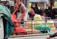 Serapan Meningkat Harga Cabai Kediri Kembali Naik