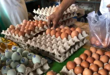 Harga Telur di Jombang Tembus Rp35.000 per Kg