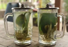 Manfaat Konsumsi Wedang Kayu Putih saat Cuaca Ekstrem