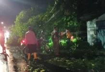 Hujan Deras, Dua Rumah Warga Desa Gadungan Rusak Parah