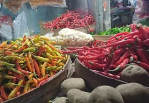 Secara Nasional Produksi Cabai Turun, Harga Cenderung Tinggi