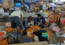 Harga Cabai Rawit di Kediri Turun, Tertinggi Rp57.000